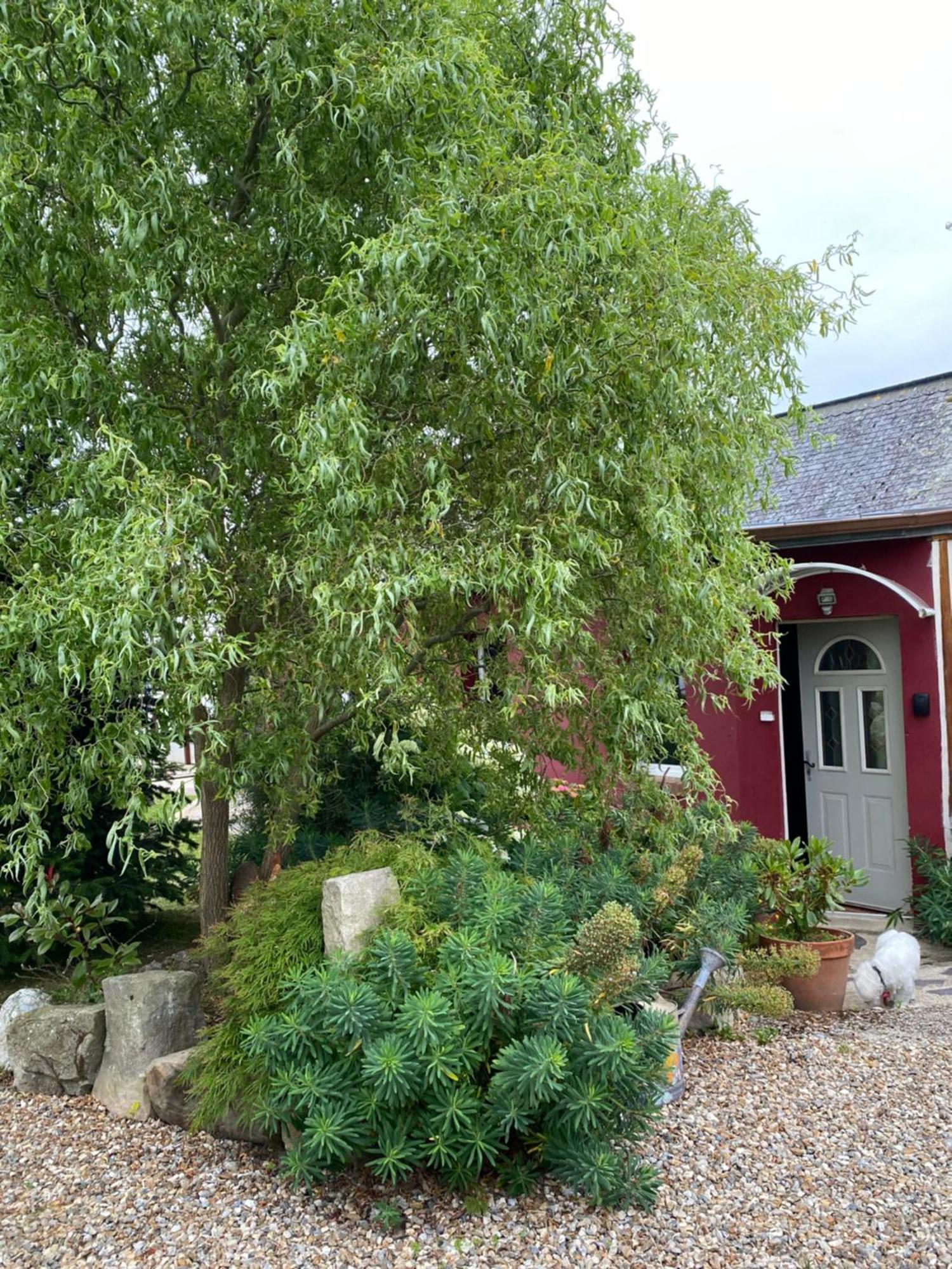 La Maison De Famille Neville Exterior photo